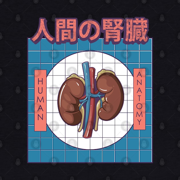 Human Kidney Anatomy by AtifSlm